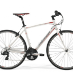 Day 59: We have a job