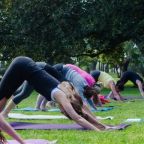 Day 38: Park Yoga
