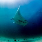 Coral Bay: Days 8-10